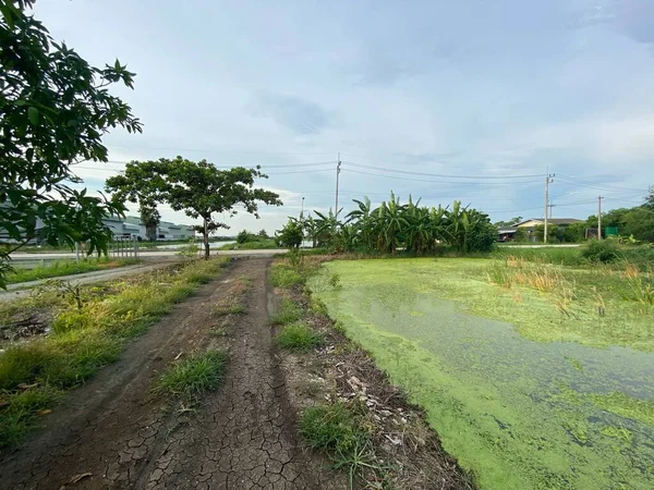 Camino Tierra Naturaleza País Chachoengsao Tailandia — Foto de Stock