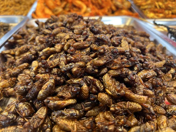 Markette kızarmış eşek arısı larvaları var. 