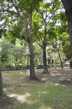 Büyük yeşil ağaçları ve geniş çimleri olan bir park manzarası..