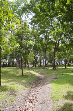 Yazın en güzel parkı.