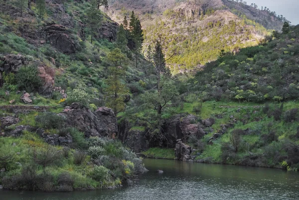 Krajina Jezera Mezi Kopci Ostrově Gran Canaria Kameny Keři Různé — Stock fotografie