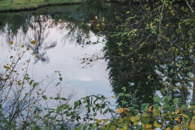 Sonbahar zamanı gökyüzü ve ağaç küçük bir gölün yüzeyine yansıdı. Sarı ve yeşil yapraklar