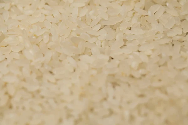 Close White Rice Background — Stock Photo, Image