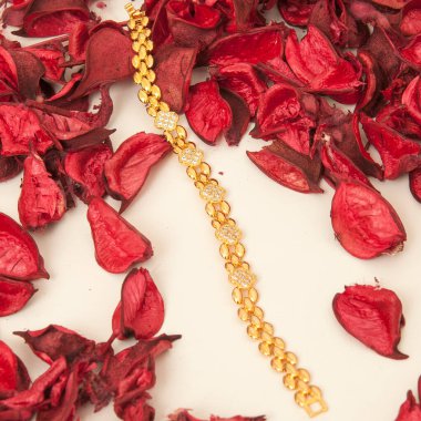 Beyaz bir arka planda gül yapraklarının arkaplanına çizilmiş kadın mücevherleri