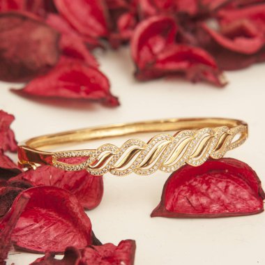 Beyaz bir arka planda gül yapraklarının arkaplanına çizilmiş kadın mücevherleri