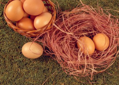 Yuva ile birkaç yumurta ve yeşil çimenli arka plan üzerinde ahşap sepeti