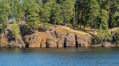 Göl göl kıyısında büyüyen mavi su ve çam ağaçları ile