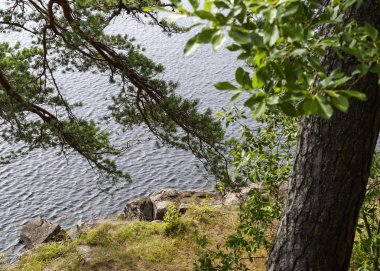 Gölün sarp kayalıklarındaki ağaçlar