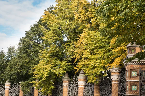 Mikhailovskij Trädgård Höst Eftermiddag Och Detaljer Trädgården Gallret — Stockfoto