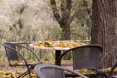 Bir sonbahar gününde açık boş. Boş sandalye ve masa sonbahar mevsiminde ağaçların altında.