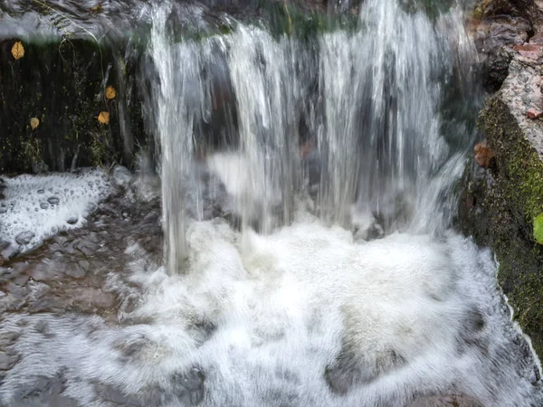 Small mountain waterfall on the rocks in the forest.