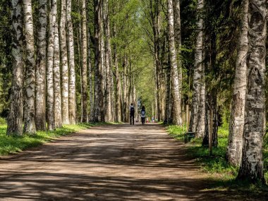 Huş salonu ve insanlar o ileri bahar günü içinde gezinme
