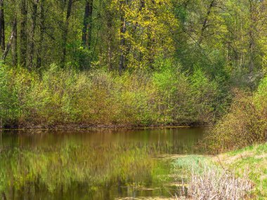 Yeşil ağaçlar ve mavi gökyüzü suya yansıyor.