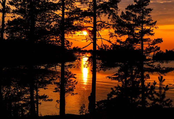 Sonnenuntergang am See. Sonnenuntergang Blick durch die Bäume — Stockfoto