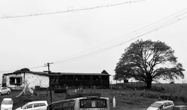 Terk edilmiş eski bir evin ve tenha bir yerdeki büyük bir ağacın siyah beyaz resmi.