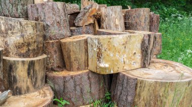 Kış için yakacak odun hazırlıyorum. Büyük bir odun yığını. Yakacak odun arka planı.