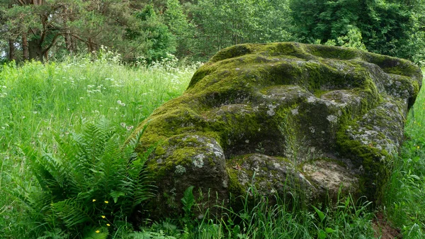 Цікавий Стародавній Камінь Природоохоронній Території — стокове фото
