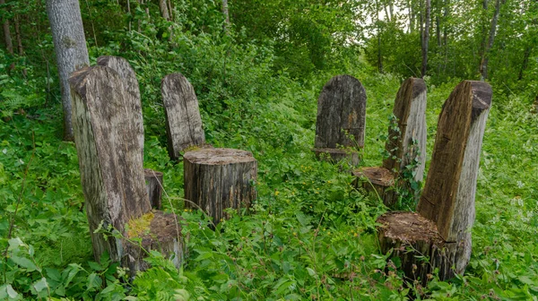 Stolar För Avkoppling Skogen Stolsbord Dukat Trästolar Skogen — Stockfoto