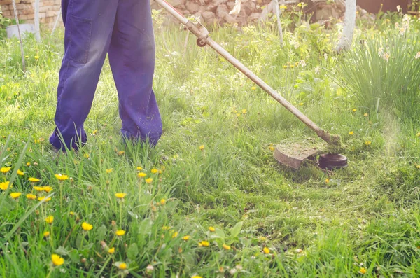 Man Mows Green Grass Lawn Mower Sunny Day — Stock Photo, Image