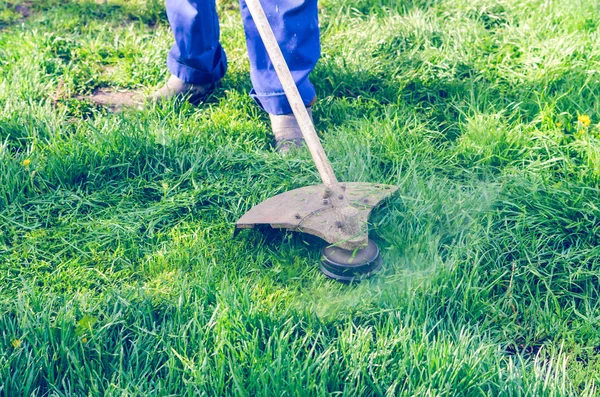 Hombre Corta Una Cortadora Césped Verde Día Soleado —  Fotos de Stock