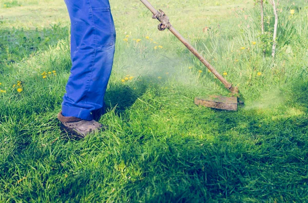 Hombre Corta Una Cortadora Césped Verde Día Soleado — Foto de Stock