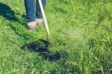 Bir adam yeşil çim çim biçme makinesi güneşli bir günde mows..