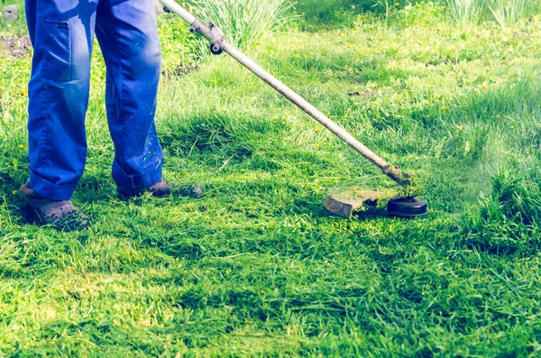 Hombre Corta Una Cortadora Césped Verde Día Soleado —  Fotos de Stock