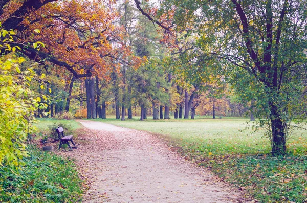 Schöner Herbstlicher Park Übersät Mit Fallendem Laub — Stockfoto