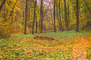 Güzel sonbahar park düşmüş yaprakları ile mayınları.