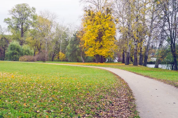 Schöner Herbstlicher Park Übersät Mit Fallendem Laub — Stockfoto