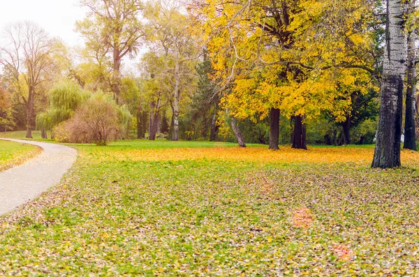 Schöner Herbstlicher Park Übersät Mit Fallendem Laub — Stockfoto