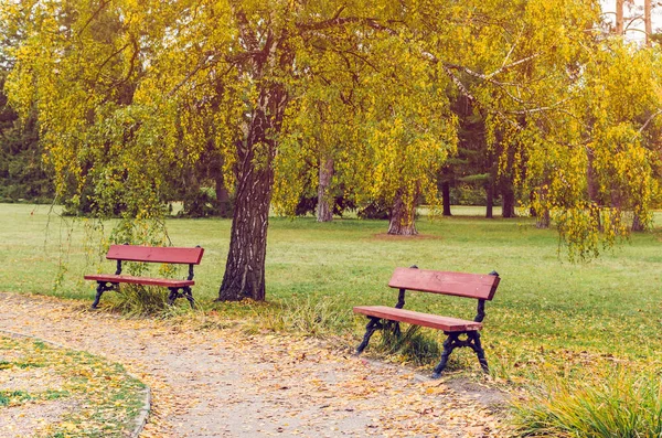 Schöner Herbstlicher Park Übersät Mit Fallendem Laub — Stockfoto