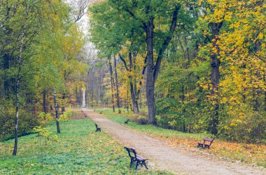 Güzel sonbahar park düşmüş yaprakları ile mayınları.