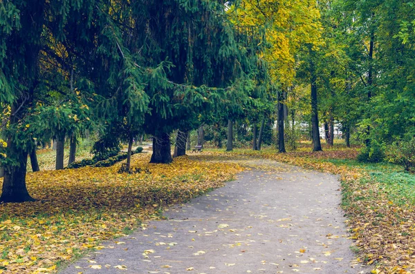 Schöner Herbstlicher Park Übersät Mit Fallendem Laub — Stockfoto