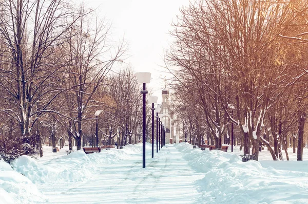 Güzel Kış Karla Kaplı Park Sokakta — Stok fotoğraf