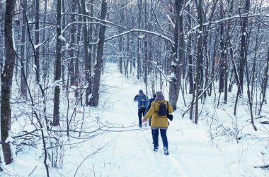 Bir grup insan karlı bir orman yoluyla yürüyüş.