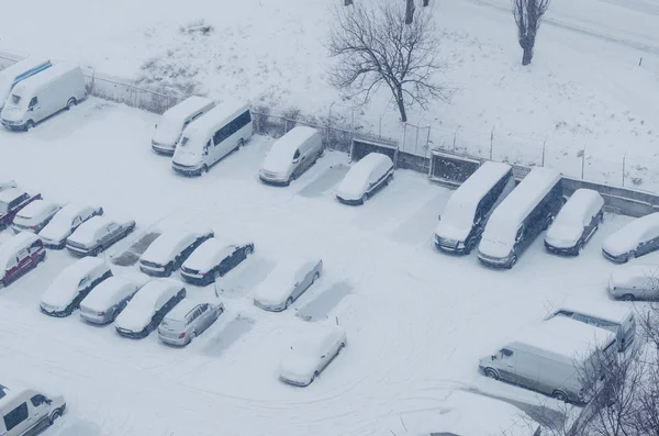 Auto Coperte Neve Nel Parcheggio Durante Una Nevicata — Foto Stock