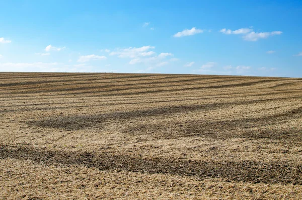 Soybean field after harvest in the fall