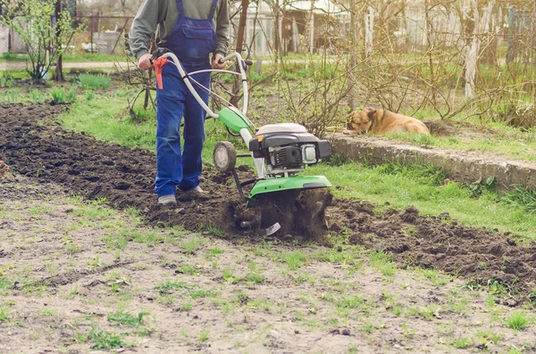 Homem Trabalhando Jardim Primavera Com Máquina Leme — Fotografia de Stock