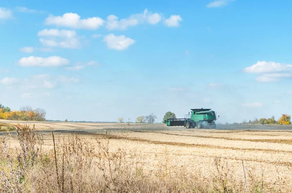 Alanında yeşil hasat bitkileri temizler.