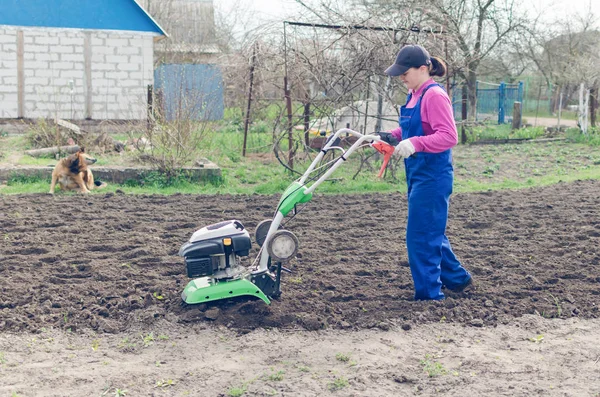 Jovem Trabalhando Jardim Primavera Com Cultivador — Fotografia de Stock