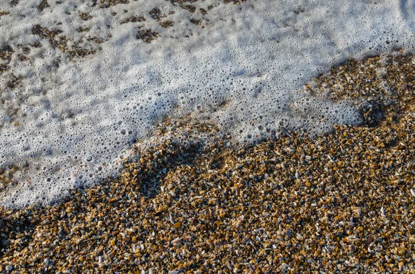 Seashore of shellstone with a coastal foamy wave — Stock Photo, Image