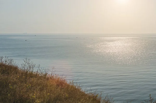 Sea view from a high hill overgrown with wild grass — Stock Photo, Image