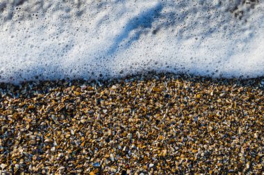 Shellstone kıyı köpüklü dalga, deniz kıyısı