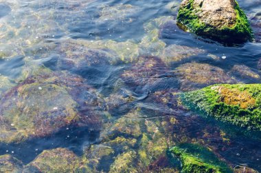 Taşlı sahil, denize uygun olmayan giriş