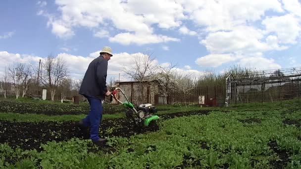 Man Cultivates Ground Garden Tiller Preparing Soil Sowing — Stock Video