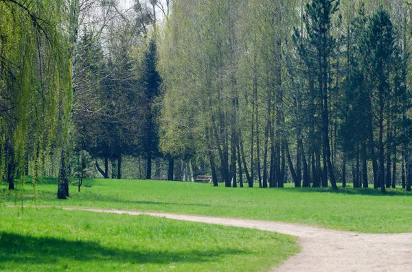 Weg zwischen Bäumen im Frühlingsstadtpark — Stockfoto
