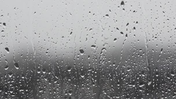 Rainy Day Raindrops Dripping Window Glass — Stock Video
