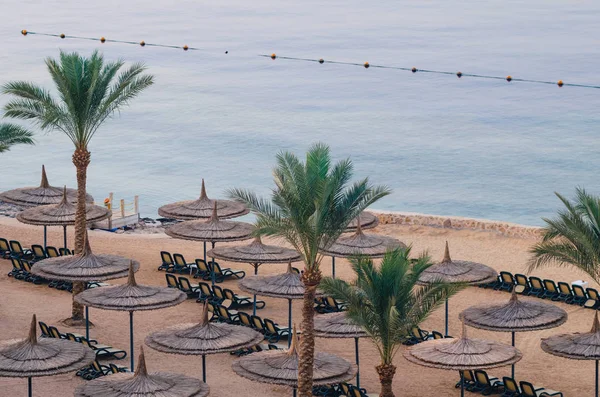 Зонтики из тростника с шезлонгами на прекрасном песчаном пляже — стоковое фото