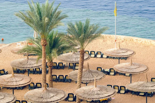 Nádnapernyők nyugágyakkal egy gyönyörű homokos strandon — Stock Fotó